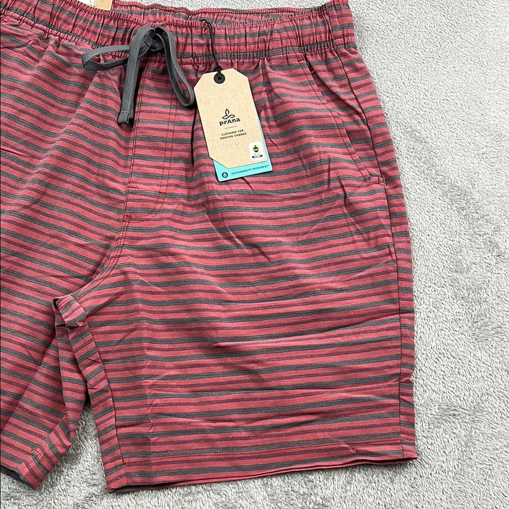 NEW Prana L Metric E-Waist Short Rust Stripe Men's Striped Red Shorts‎